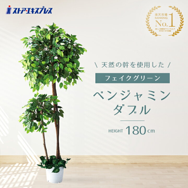 楽天市場】【天然木使用】ベンジャミン ダブル 高さ180cm 1台 