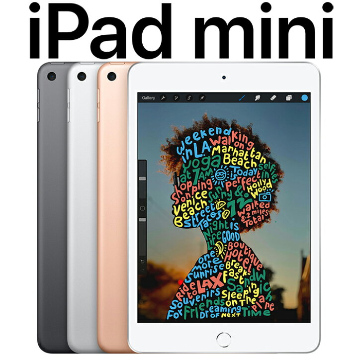 楽天市場】美品 iPad Mini5 セルラーモデル 256GB IOS WiFi使える 7.9 