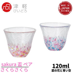 Ìyтǂ u 傱 sN^u[ 120ml 炳u yAZbg { ϔ FS62507b傱  Ƃ  { OX     KX M ̂ 