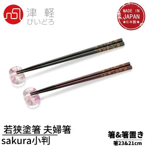 Ìyтǂ ዷh vw MtgZbg sakura uEZbg { FS-75503bؔ Mtg v[g  Y yA  u Zbg  nhCh