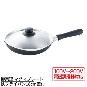 y[J[iz@ }O}v[g StCp 18cmWt | tCp IH tCp S tCp  200V IHΉ KXΑΉ { 