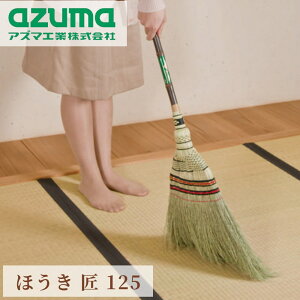 ق  125 SF82cm |  Z ׂ߃zEL XL} zEL VRf X z[L Ԃ̃zR   TbV Ƌ  x_| | |pi GR eco   r