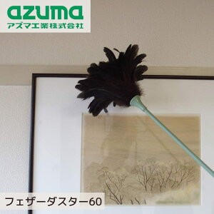 ͂ tFU[_X^[ SF62cm | zR ق ͂ n^L ̉H H VR@ Ƌ l` u z AY}H | | azuma |pi zR rO _CjO t