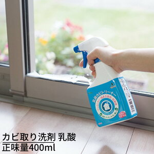 Jr _Jrg[i[ʃvX 400ml fsgp Sŉƒgb Lb` gC    ʏ  ①  rj[NXǂ̃Jr