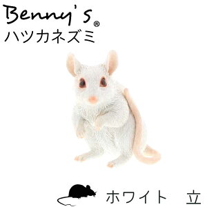 ncJlY~ u K[f Aj} 8×7×H10cm dʁF130g | lY~ ˂ l K[fIuWF I[ig G IuWF K[fjO CeA GNXeA   蕨 v[