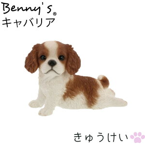 ̒u  Aj} xj[Yu イv LoA 8.5×18.5×H12.5cm dʁF420g | dog   K[fIuWF hbO u  I[ig Ck G K[f IuWF K[fj