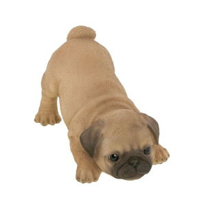 u IuWF hAXgbp[  pO t`u ViEU[ | Aj} l`  Ck 킢 hbO dog hA~ L[g pi v[g 蕨 j   K[f g
