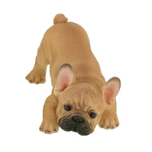 u IuWF hAXgbp[  pO t`u ViEU[ | Aj} l`  Ck 킢 hbO dog hA~ L[g pi v[g 蕨 j   K[f g