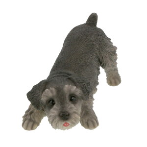 u IuWF hAXgbp[  pO t`u ViEU[ | Aj} l`  Ck 킢 hbO dog hA~ L[g pi v[g 蕨 j   K[f g