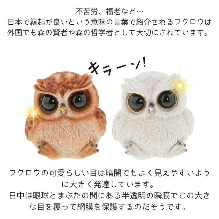 楽天市場】置物 オブジェ フクロウ 陶器 約10.5x9xH10.5cm | アニマル 