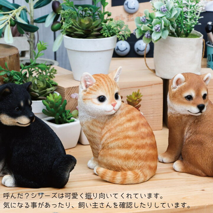 楽天市場】置物 オブジェ 呼んだ？シリーズ いぬ ねこ しば 茶トラ 