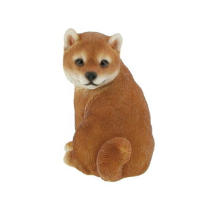 u IuWF Ă񂾁HV[Y  ˂  g  3p^[ | Aj} l`  L Ck lR 킢 hbO Lbg dog cat U L[g v[g 蕨 j   