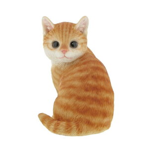 u IuWF Ă񂾁HV[Y  ˂  g  3p^[ | Aj} l`  L Ck lR 킢 hbO Lbg dog cat U L[g v[g 蕨 j   