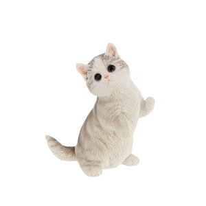 u IuWF ˂ }`J 2J[ 3p^[ | Aj} l` L lR 킢 Lbg cat L[g  v[g 蕨 j   K[f g K[fI[ig GNX