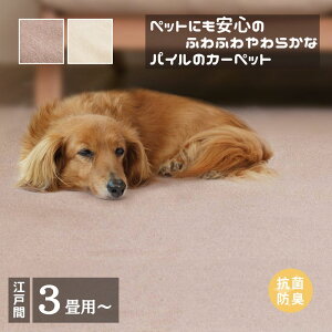 y[J[iz _炩pC̍RۃJ[ybg VGy]ˊ3`10z | ybgɂ₳ J[ybg R hL zbgJ[ybg Jo[ O ~l ~l Y { g[