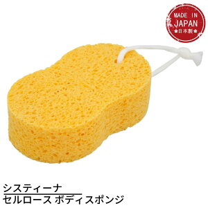 VXeB[i Z[X {fBX|W | { {fB[X|W ̐ g̐ pX|W oXX|W C C X|W oXObY CObY pi VRf ^I