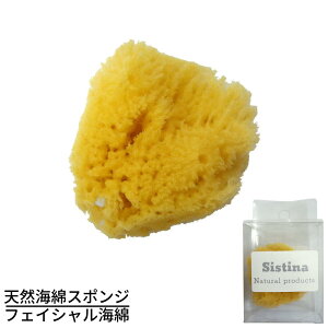 CȃX|W VXeB[i tFCVC | VRC iX|W tFCVX|W EHbV^I A ̐ _炩 炩  Ags[ h