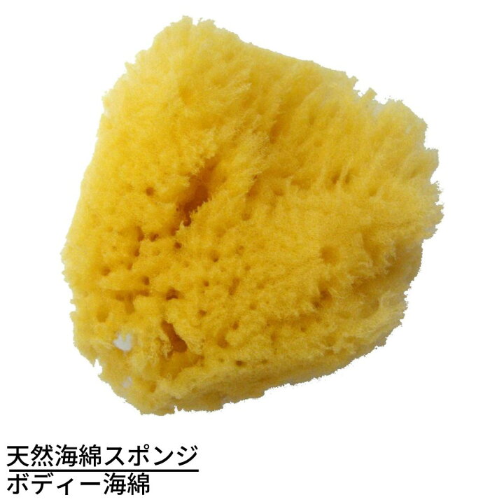 楽天市場 天然海綿スポンジ システィーナ ボディー海綿 天然海綿 高品質スポンジ ボディスポンジ ボディタオル ボディウォッシュタオル 浴用タオル 泡立ち 体洗い 柔らかい やわらかめ 高級 アトピー 低刺激 丸福商店
