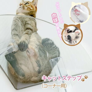 yzLbgXebv R[i[p  1Zbg PC30R | LbgEH[N Lbg^[ L ˂ lR   Ǖt Ǌ| nEX  lC ^s  킢 