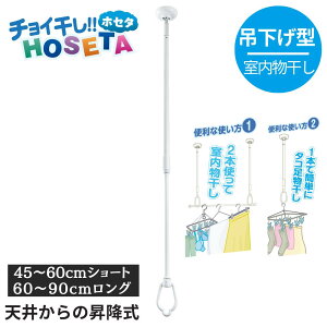 yƕ֗Ȏz ݉^ HOSETA y45`60cmE60`90cm^Cvz |  ~J ݂艺 V      󕨊 t 