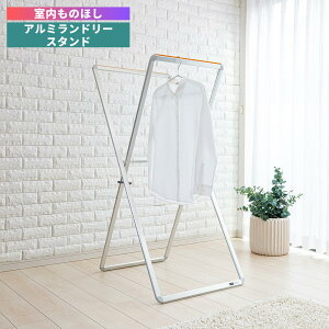 y݌Ɍẑق A~h[X^h IPPIN NXX^C IPP-200 | 󕨊 ܂肽 X^h  nK[ X^  nK[ y 