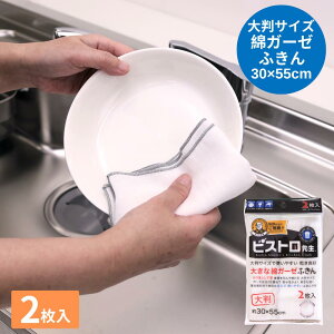 rXg搶 傫ȖȃK[[ӂ 2 30×55cm | H@ Lb`  ؂ 100% 唻 usgp \ӂ Hp Hpӂ OX@ Hӂ w