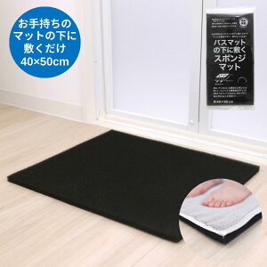 oX}bg̉ɕ~ X|W}bg ubN 40×50cm | ^IñoX}bg NbVƒʋCǂ @Ή ~  ɂ NbV