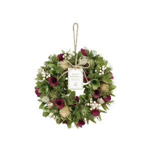 I[V[Y[X 18cm 24cm | [X i`[X t[[X   hCt[ Ǌ| CeA [XO I[V[Y ʔN ԑ u[P ̓Mtg ̓ 