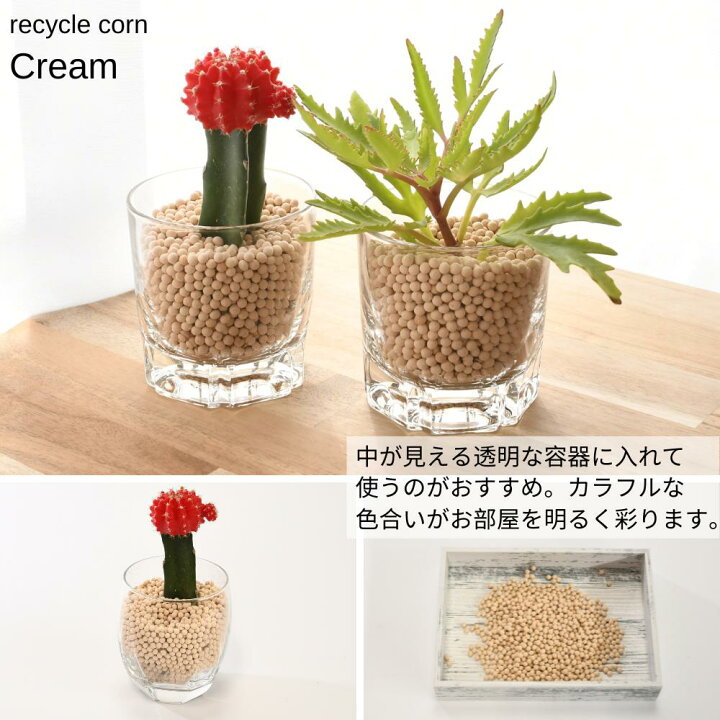 楽天市場 在庫限り ハイドロカルチャー用土 ハイドロボール カラフルコーン 800ml 中粒 お手入れかんたん ハイドロカルチャー 植え替え用 ハイドロカルチャー 観葉植物 土 室内 ハイドロカルチャー 鉢 ハイドロカルチャー 鉢 ガラス 苗 水耕栽培 インテリア ハイドロ