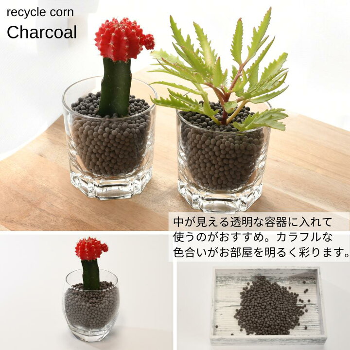 楽天市場 在庫限り ハイドロカルチャー用土 ハイドロボール カラフルコーン 800ml 中粒 お手入れかんたん ハイドロカルチャー 植え替え用 ハイドロカルチャー 観葉植物 土 室内 ハイドロカルチャー 鉢 ハイドロカルチャー 鉢 ガラス 苗 水耕栽培 インテリア ハイドロ