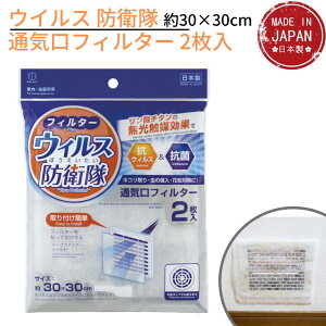 1000~ȉ ECX hq ʋCtB^[ 2 30×30cm  ʏpbzRƂtB^[ ԕ ق C tB^[ h~ ƒ h~ zRh~ \邾 