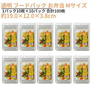  t[hpbN ٓ MTCY 1pbN10×10pbN v100 19.0×12.0×3.8cmbNApbN e ٓ t[c T_ y  e Ȉ՗e ĝĕٓ sy W[ O