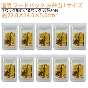  t[hpbN ٓ LTCY 1pbN5×10pbN v50 22.0×14.0×5.0cmbNApbN e ٓ t[c T_ y  e Ȉ՗e ĝĕٓ sy W[ O