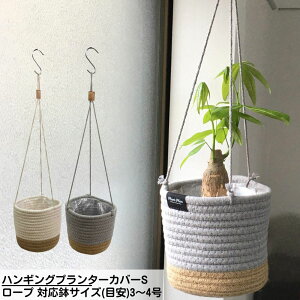 nMOv^[Jo[S [v ΉTCY(ڈ)3`4 | K[f v^[  nMOv^[ nMOoXPbg t[|bg Jo[ ݂艺pv^