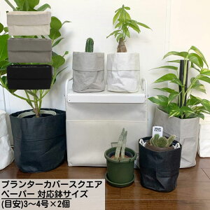 v^[Jo[XNGA y[p[ ΉTCY(ڈ)3~4×2 | K[f v^[ Jo[  v^[ oXPbg t[|bg Jo[ K[fjOG AeB[N 