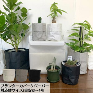 v^[Jo[S y[p[ ΉTCY(ڈ)3`4 | K[f v^[ Jo[  v^[ oXPbg t[|bg Jo[ K[fjOG AeB[N 킢 