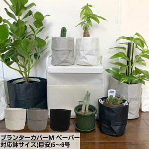 v^[Jo[M y[p[ ΉTCY(ڈ)5`6 | K[f v^[ Jo[  v^[ oXPbg t[|bg Jo[ K[fjOG AeB[N 킢 