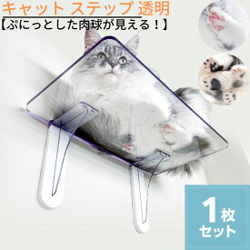 【送料無料】 キャット ステップ 透明 1枚セット｜キャットウォーク キャットタワー 猫 ねこ ネコ 肉球 透明 壁付け 壁掛け ハウス 室内 人気 運動不足 安定 かわいい おしゃれ 壁 DIY 上下運動 クリア 遊び コレクション フィギュア 棚 スタンド 壁 空間 演出としても