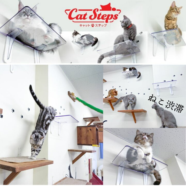 楽天市場 送料無料 キャット ステップ 透明 3枚セット キャットウォーク キャットタワー 猫 ねこ ネコ 肉球 透明 壁付け 壁掛け ハウス 室内 人気 運動不足 安定 かわいい おしゃれ 壁 Diy 上下運動 クリア 遊び コレクション フィギュア 棚 スタンド 壁 空間 演出 楽天市場 送料無料 キャット ステップ 透明 3枚セット キャットウォーク キャットタワー 猫 ねこ ネコ 肉球 透明 壁付け 壁掛け ハウス 室内 人気 運動不足 安定 かわいい おしゃれ 壁 Diy 上下運動 クリア 遊び コレクション フィギュア 棚 スタンド 壁 空間 演出