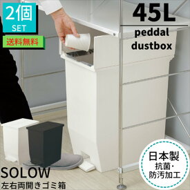 楽天市場 ゴミ箱 45l 横開きの通販