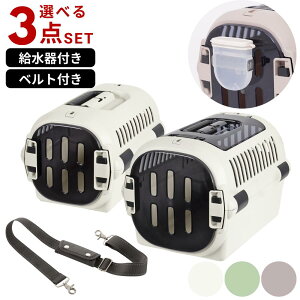 2026�V���i �I�ׂ�2type×2size ������E�x���g�t�� 3�_�Z�b�g �L�����s���O�L�����[ �t�@�C�� [�V���O���h�A/�_�u���h�A][S/M] | ���b�`�F�� �_�u���h�A �L�����[�P�[�X �����^�� ���^�� �v���X�`