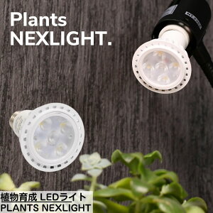yA̎lCgz Ap LEDCg PLANTS NEXLIGHT | ϗtA 琬Cg A琬Cg LED Cg Vi Cg ȃGl 琬  E17  vclNXCg lNX
