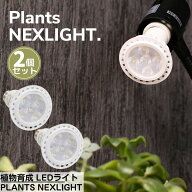 【植物の事だけを考えた】 植物専用 LEDライト PLANTS NEXLIGHT 2個セット | 観葉植物 育成ライト 植物育…