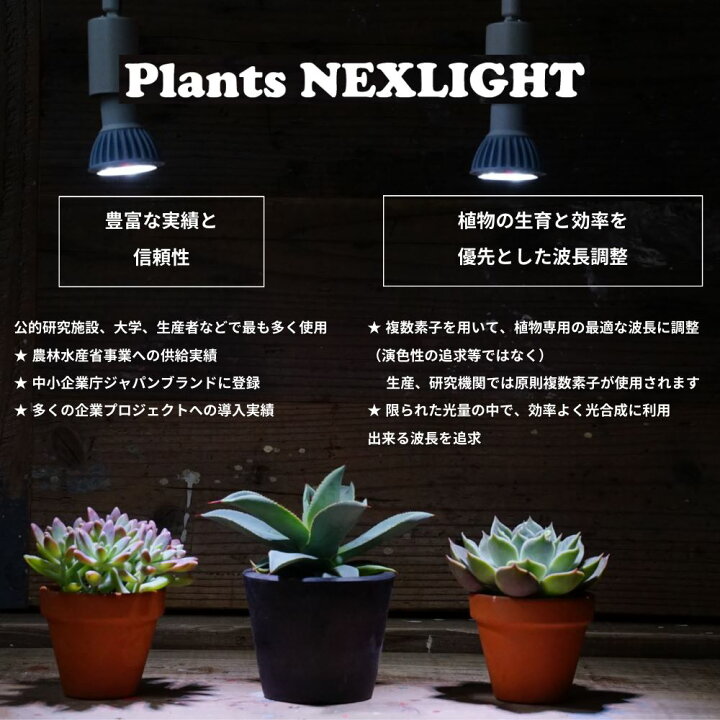 楽天市場】【植物の事だけを考えた】 植物専用 LEDライト PLANTS 