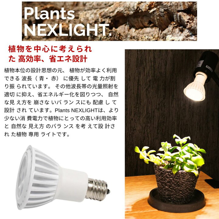 楽天市場】【植物の事だけを考えた】 植物専用 LEDライト PLANTS 