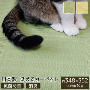 y[J[iz[t 􂦂郉O ]ˊ8 348×352cm yO[EAC{[zbO 􂦂 J[ybg { Y R hL L AEghA W[ ~ a O 炮 O