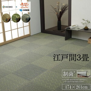 y[J[iz Ԃ O}bg O[ ]ˊ3 174×261cm | { h R hL s ѐ Rۍ KOBA-GUARD J[ybg }bg }bg  L  \