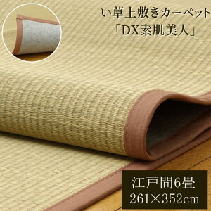 y[J[izy  ~ O}bg ]ˊ6 261×352cm | FsDz R hL {[ Jo[ y F ~}bg }bg ~y  \ t
