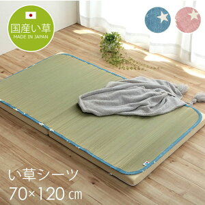�y���[�J�[�����i�z�����}�b�g �x�r�[�V�[�c ����Q�}�b�g ��70×120cm | �����Q�}�b�g �����Q�z�c ���ނւ� �����V�[�c �Q���� �q���p �˂�� ���Y�����g�p �ł킽���� ���� �}�b�g �����V