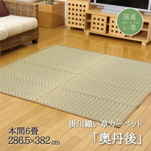 Y  |D J[ybgԂ {6 286.5×382cm | O }bg OJ[ybg  ~  ԃSU C hL R h  z C ϋv {[ rO _